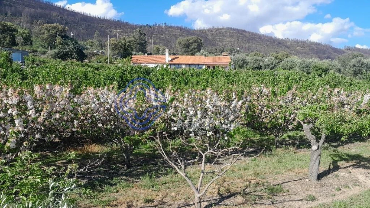 Moradia T2 para Venda em Vale de Prazeres e Mata da Rainha Foto 16