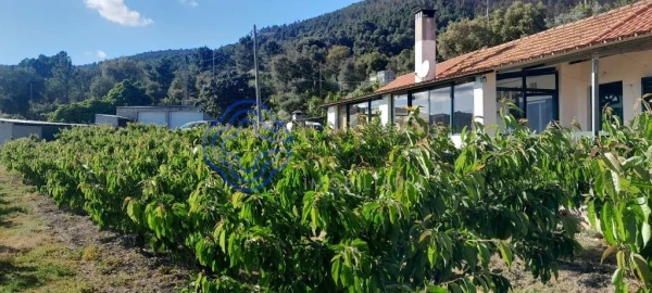 Moradia T2 para Venda em Vale de Prazeres e Mata da Rainha