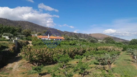 Moradia T2 para Venda em Vale de Prazeres e Mata da Rainha