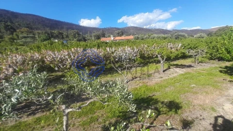 Moradia T2 para Venda em Vale de Prazeres e Mata da Rainha