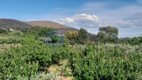Moradia T2 para Venda em Vale de Prazeres e Mata da Rainha