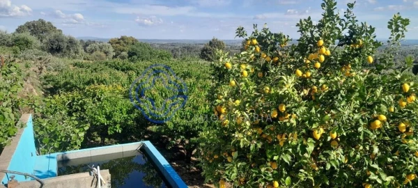 Moradia T2 para Venda em Vale de Prazeres e Mata da Rainha