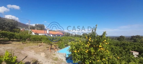 Moradia T2 para Venda em Vale de Prazeres e Mata da Rainha