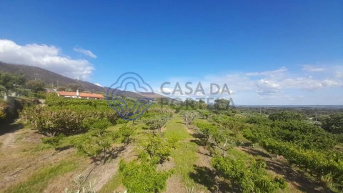 Moradia T2 para Venda em Vale de Prazeres e Mata da Rainha
