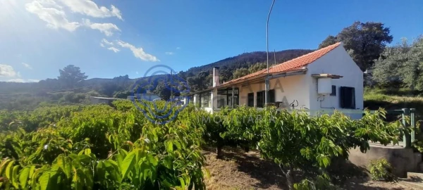 Moradia T2 para Venda em Vale de Prazeres e Mata da Rainha