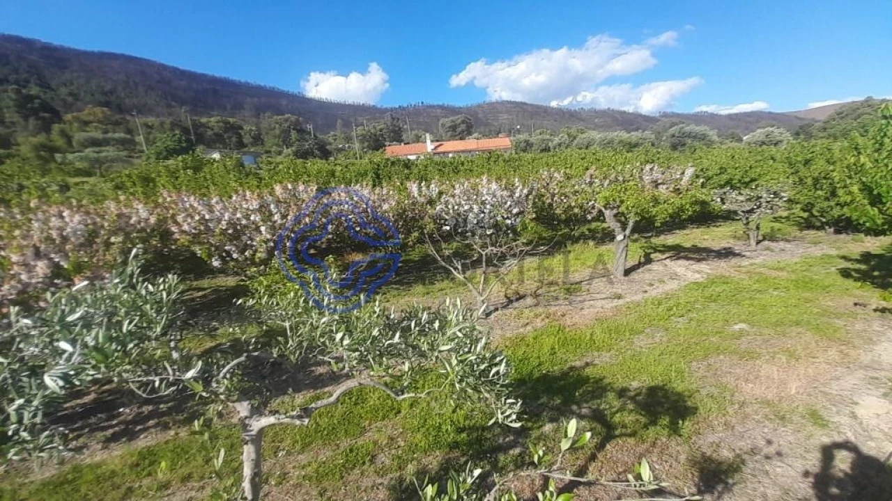 Moradia T2 para Venda em Vale de Prazeres e Mata da Rainha Foto 6