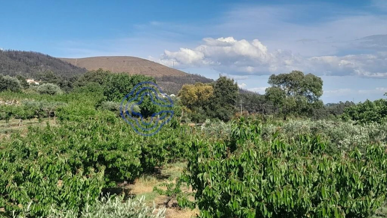 Moradia T2 para Venda em Vale de Prazeres e Mata da Rainha Foto 13