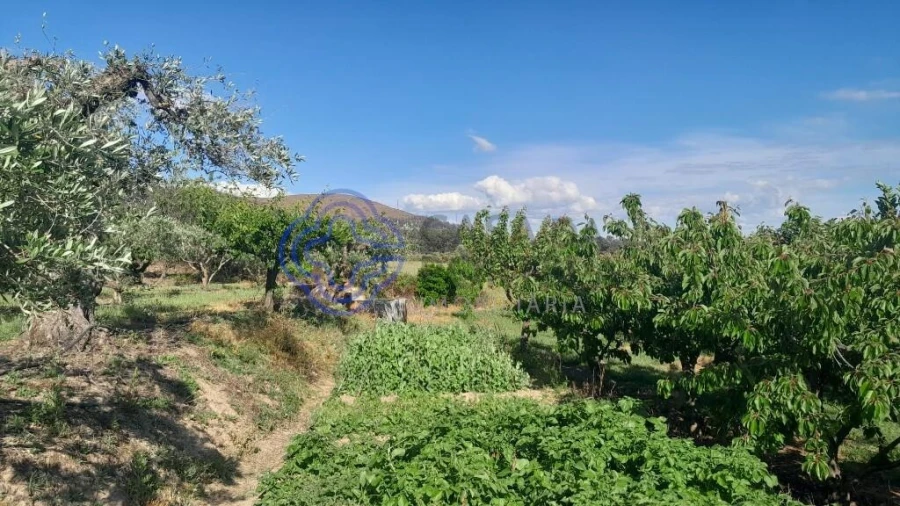 Moradia T2 para Venda em Vale de Prazeres e Mata da Rainha Foto 11