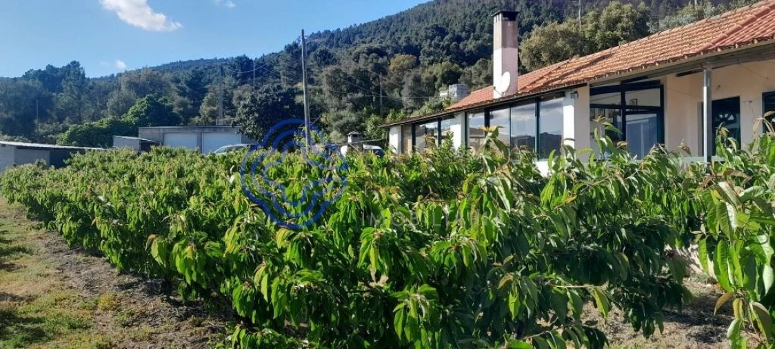 Moradia T2 para Venda em Vale de Prazeres e Mata da Rainha Foto 4