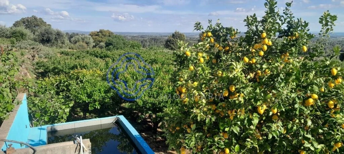Moradia T2 para Venda em Vale de Prazeres e Mata da Rainha Foto 5