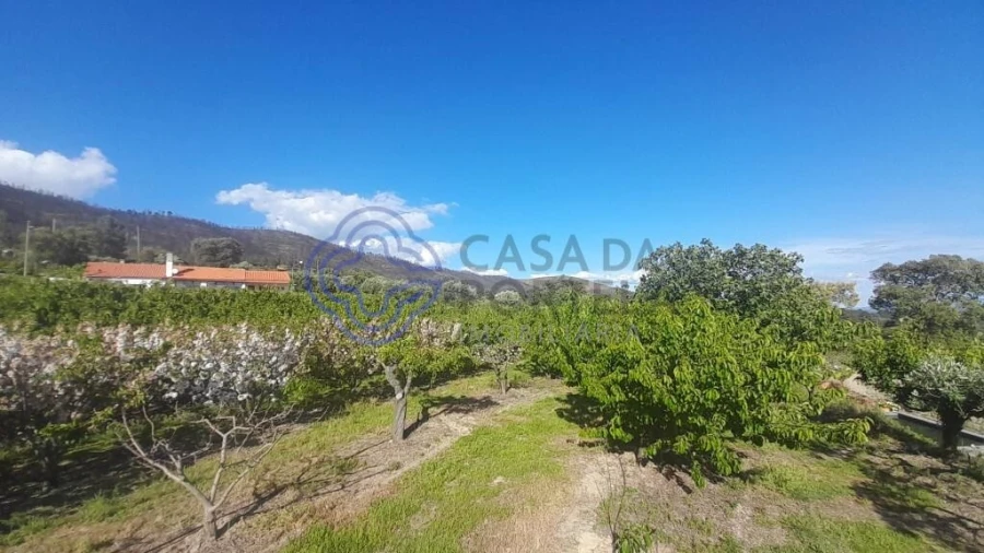 Moradia T2 para Venda em Vale de Prazeres e Mata da Rainha Foto 7