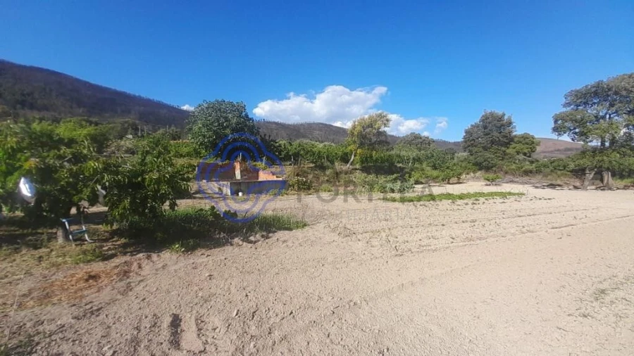 Moradia T2 para Venda em Vale de Prazeres e Mata da Rainha Foto 10