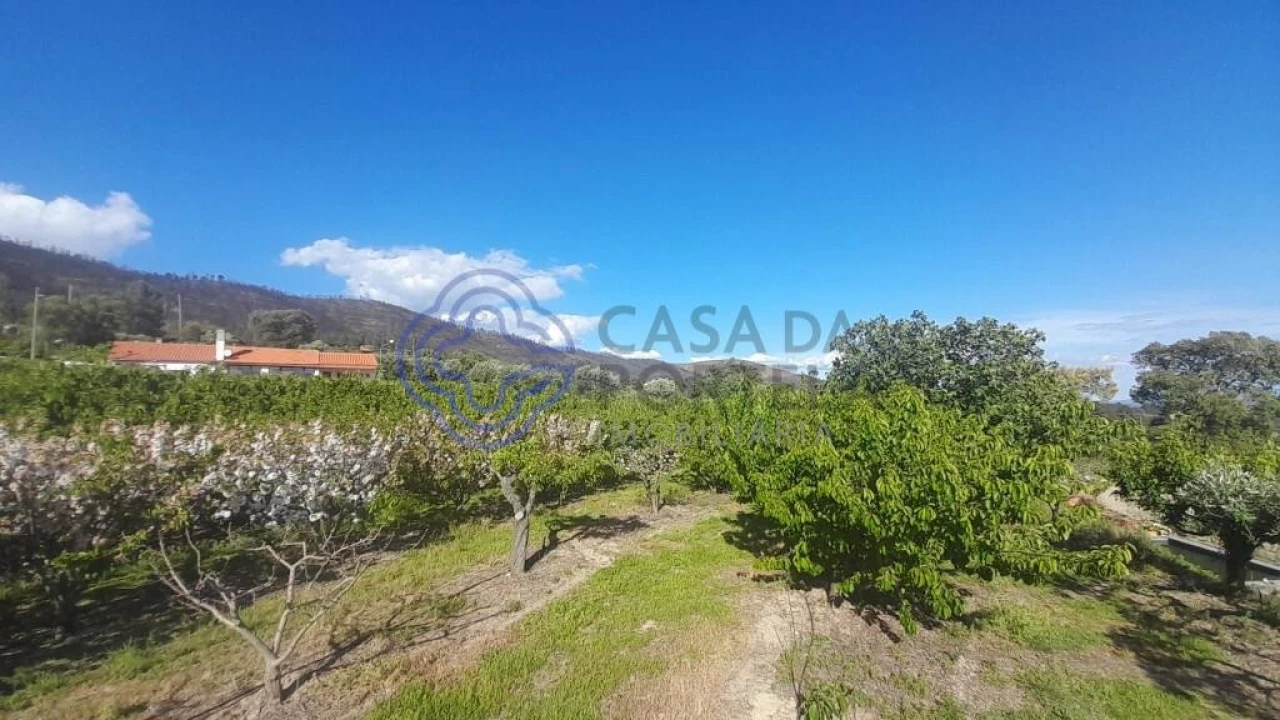 Moradia T2 para Venda em Vale de Prazeres e Mata da Rainha Foto 7