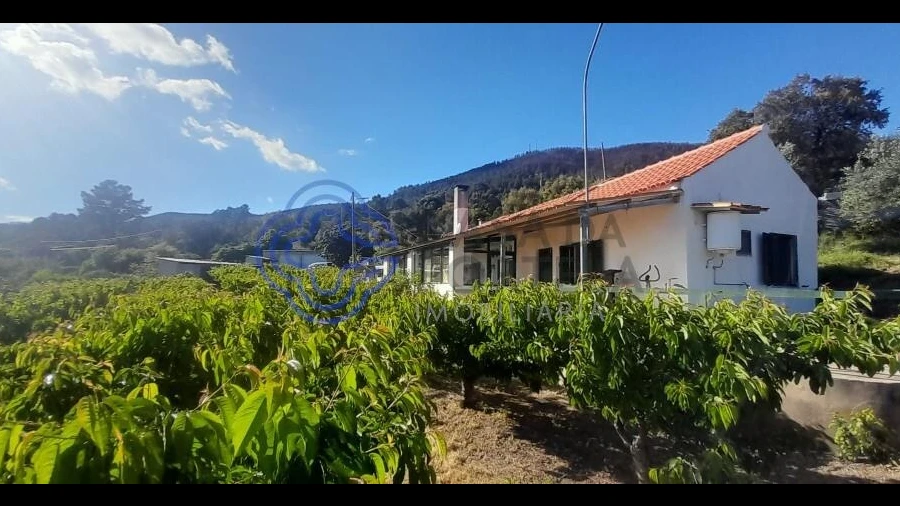 Moradia T2 para Venda em Vale de Prazeres e Mata da Rainha