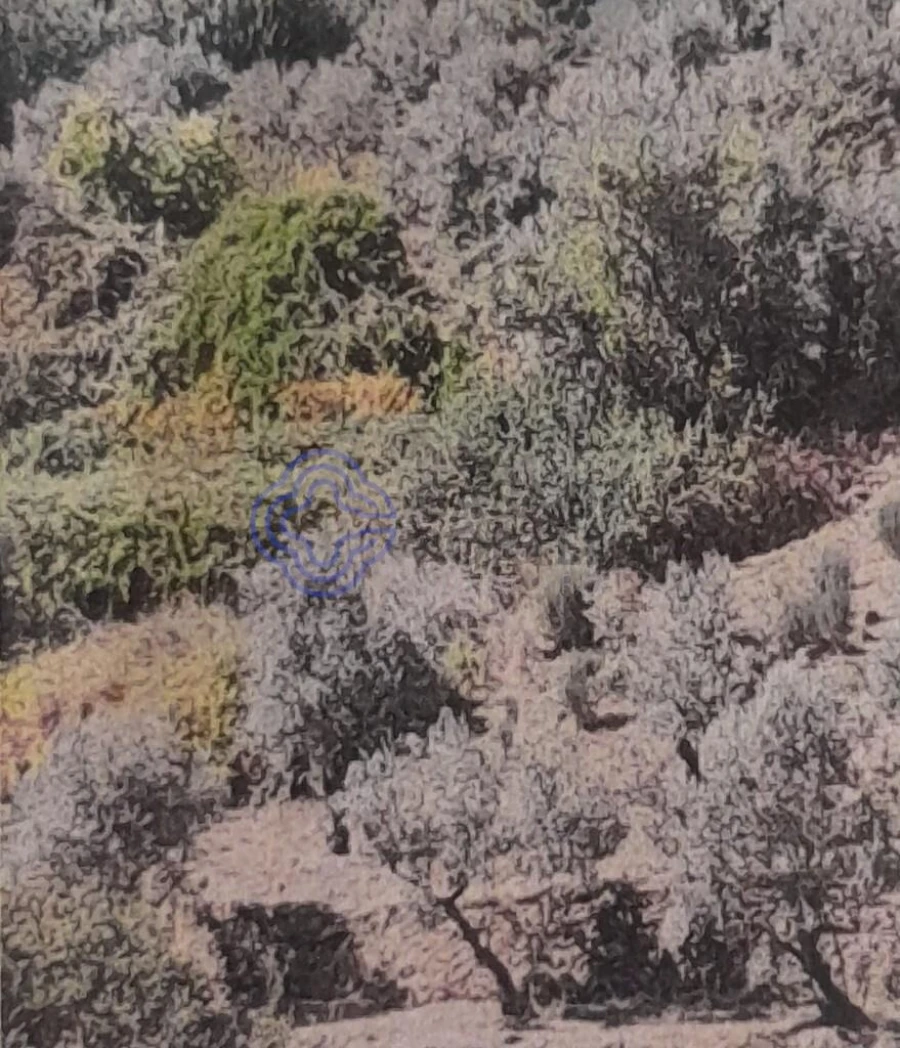 Terreno para Venda em Silvares