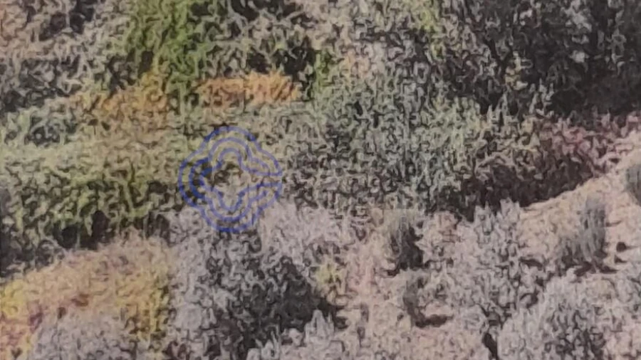 Terreno para Venda em Silvares