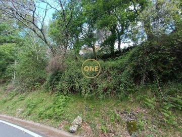 Terreno para Venda em Cibões e Brufe