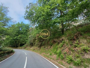 Terreno para Venda em Cibões e Brufe