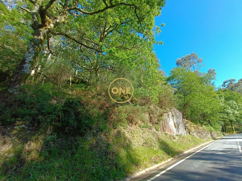 Terreno para Venda em Cibões e Brufe Foto 3