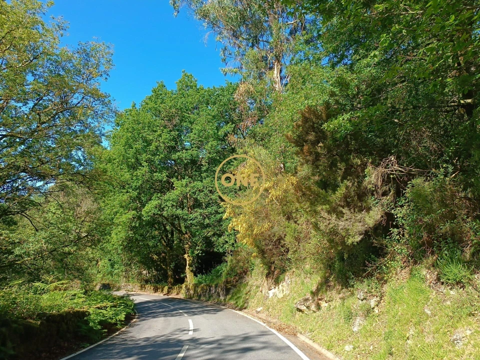 Terreno para Venda em Cibões e Brufe Foto 7
