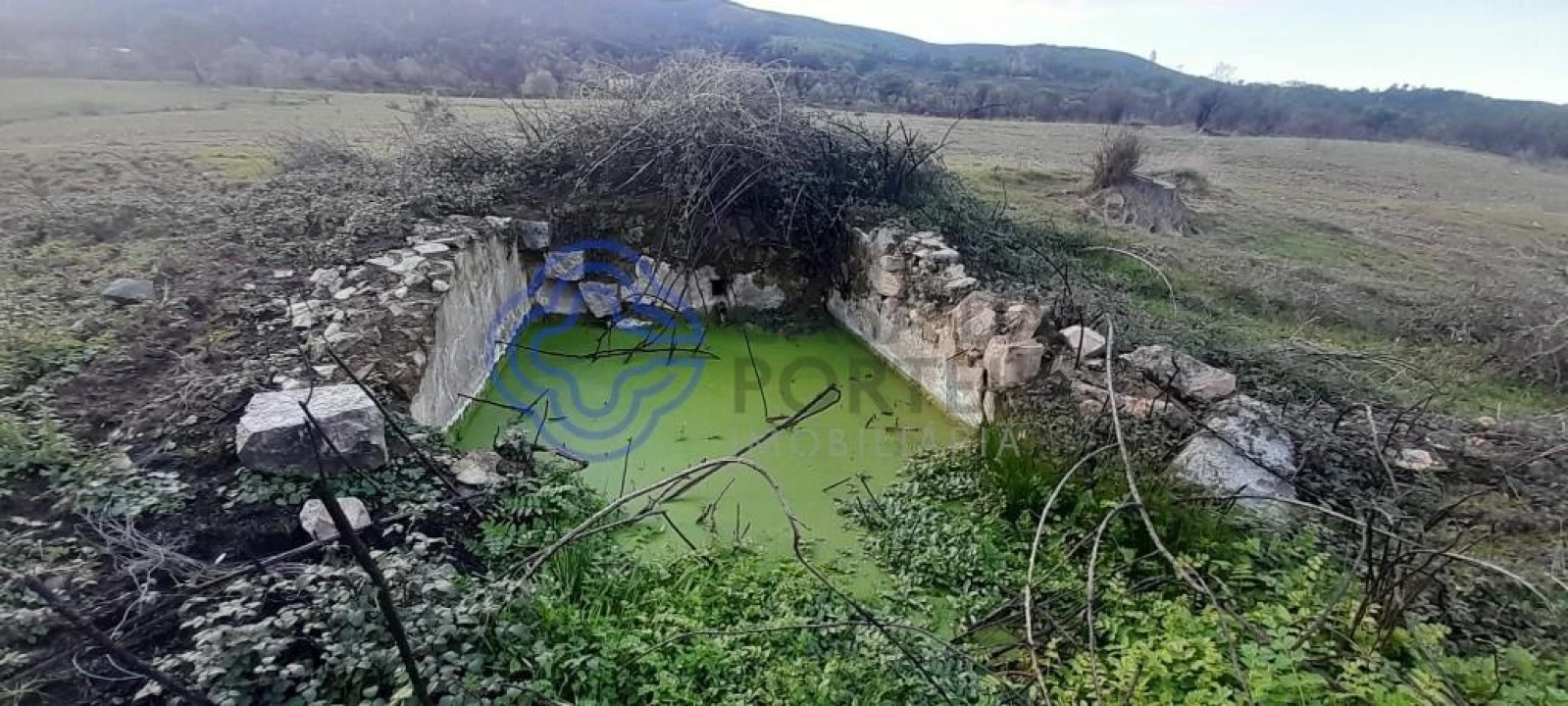 Moradia T2 para Venda em Telhado Foto 5