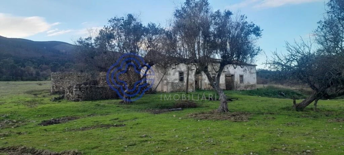 Moradia T2 para Venda em Telhado Foto 2