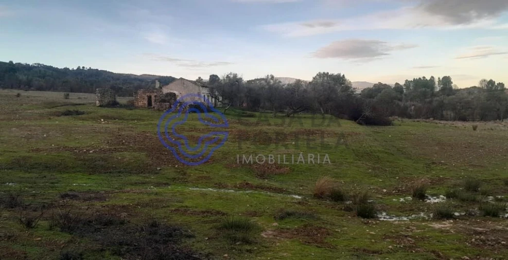 Moradia T2 para Venda em Telhado Foto 4