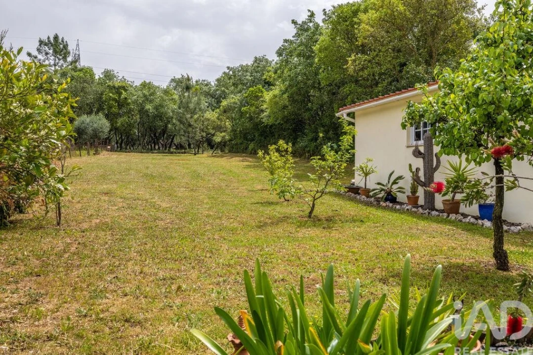 Moradia T3 para Venda em Alcobaça e Vestiaria Foto 33