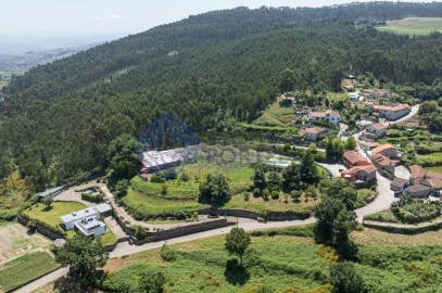 Quinta T5 para Venda em Galegos