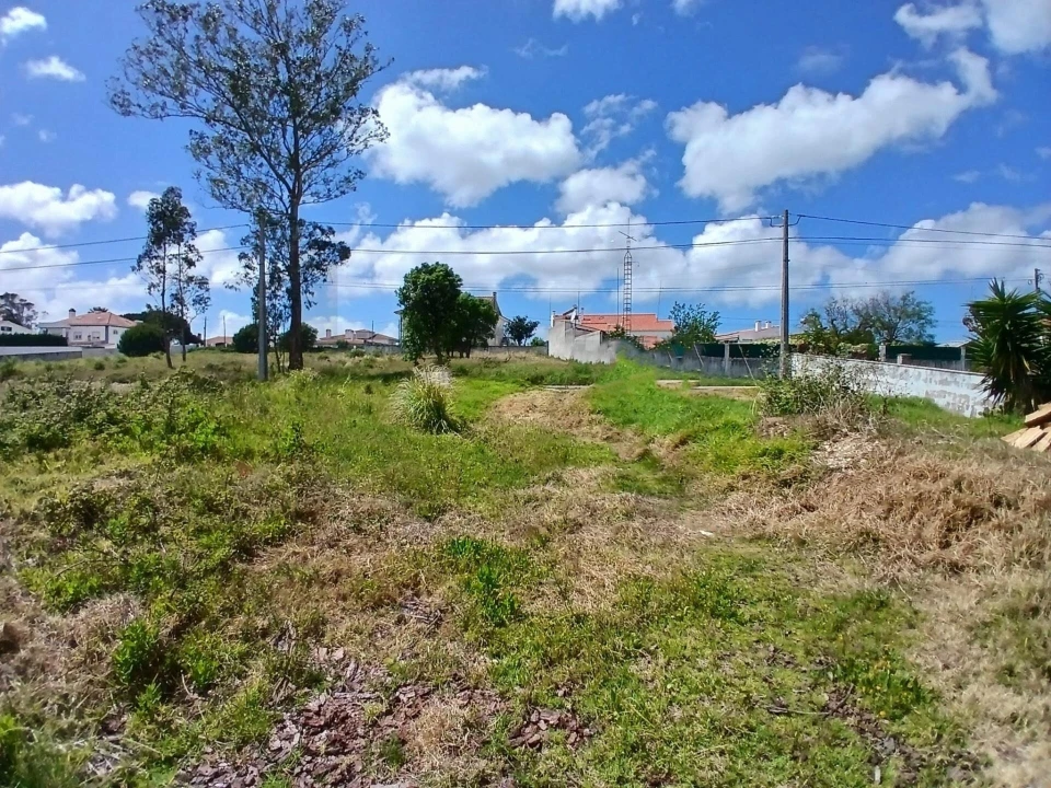 Terreno para Venda em Nossa Senhora do Pópulo, Coto e São Gregório Foto 9