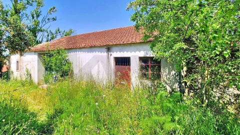 Moradia T3 para Venda em Madalena e Beselga