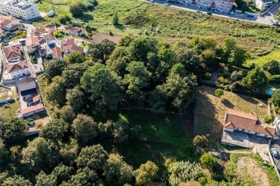 Terreno para Venda em O. Azeméis, Riba-Ul, Ul, Macinhata Seixa, Madail