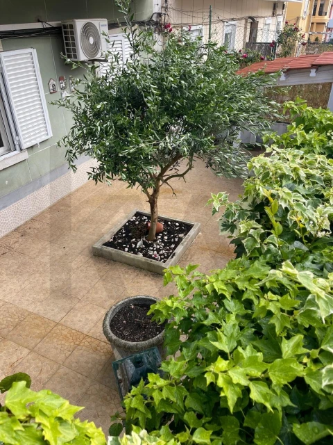 Apartamento T2 para Venda em Almada, Cova da Piedade, Pragal e Cacilhas