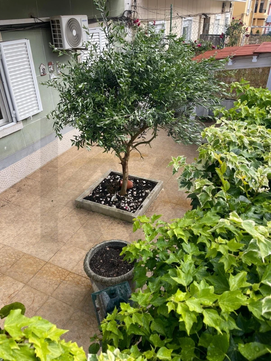 Apartamento T2 para Venda em Almada, Cova da Piedade, Pragal e Cacilhas Foto 8