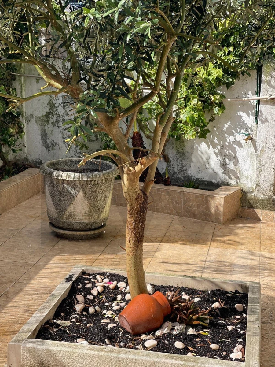 Apartamento T2 para Venda em Almada, Cova da Piedade, Pragal e Cacilhas Foto 2