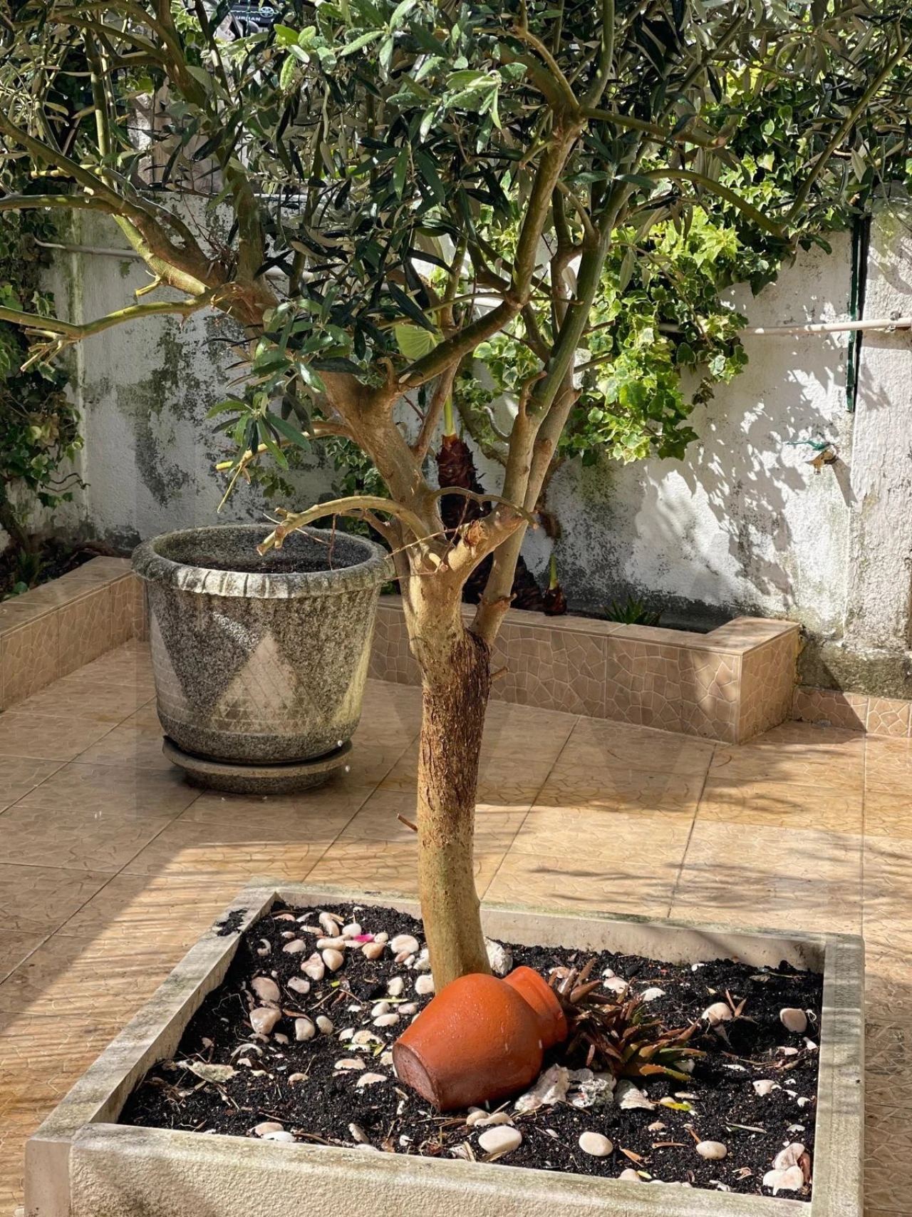 Apartamento T2 para Venda em Almada, Cova da Piedade, Pragal e Cacilhas Foto 2