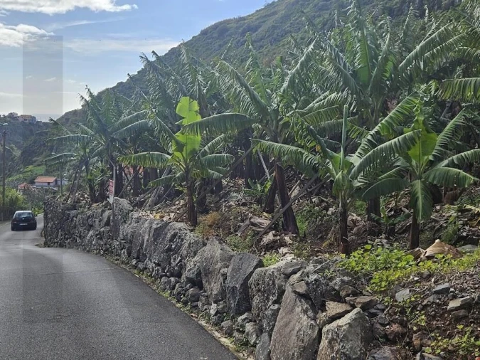Terreno para Venda em Tabua Foto 14
