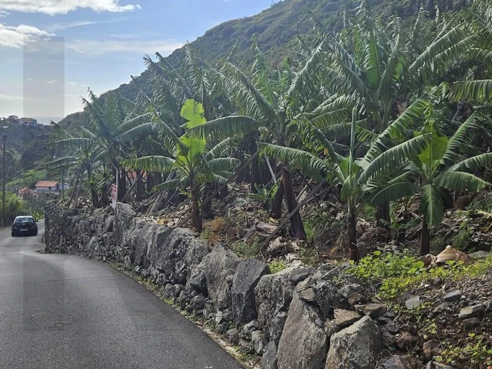 Terreno para Venda em Tabua Foto 14