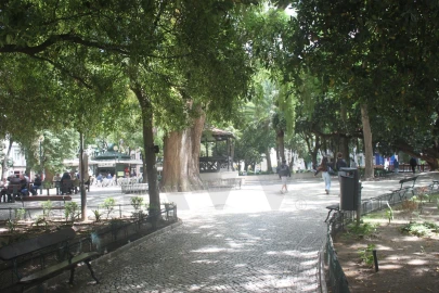 Apartamento T1 para Venda em Campo de Ourique