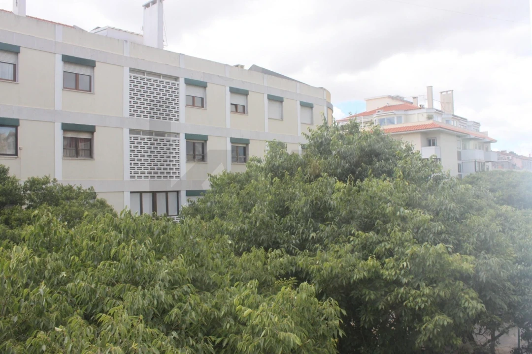 Apartamento T1 para Venda em Campo de Ourique Foto 9