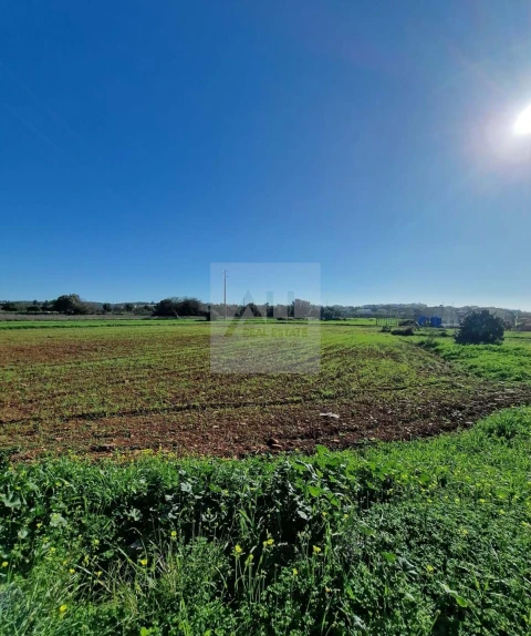 Quinta T1 para Venda em Lagos (São Sebastião e Santa Maria)