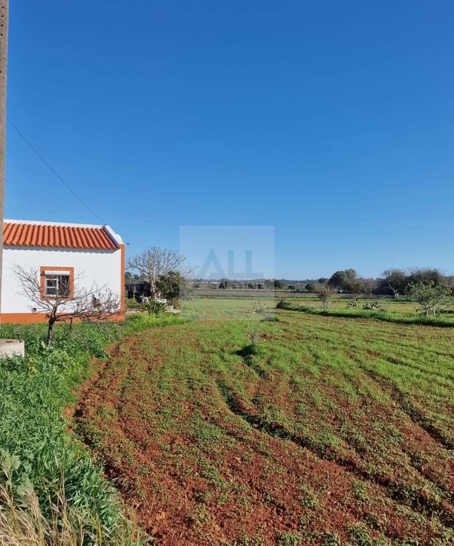 Quinta T1 para Venda em Lagos (São Sebastião e Santa Maria) Foto 4