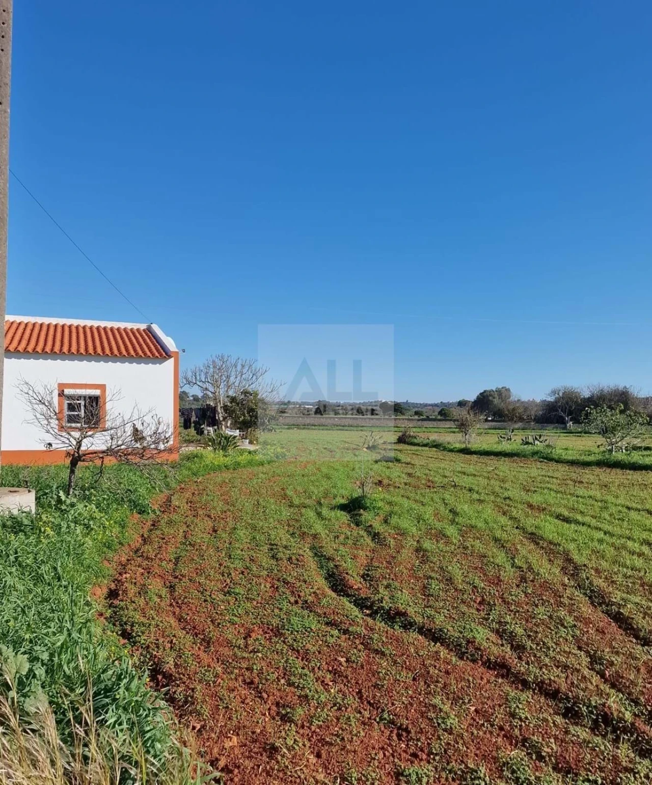 Quinta T1 para Venda em Lagos (São Sebastião e Santa Maria) Foto 4