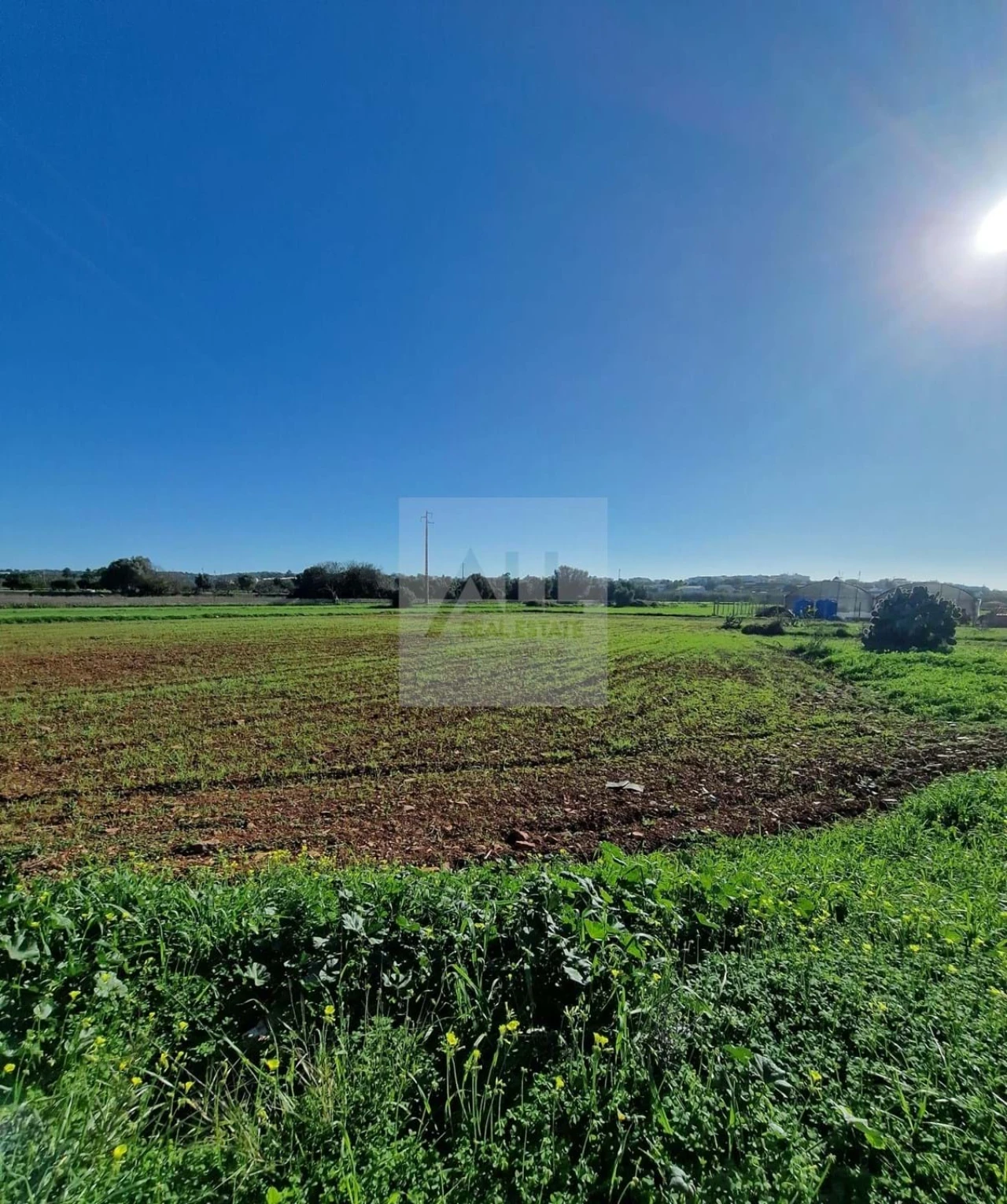 Quinta T1 para Venda em Lagos (São Sebastião e Santa Maria) Foto 6