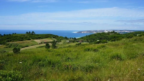 Moradia T3 para Venda em Famalicão