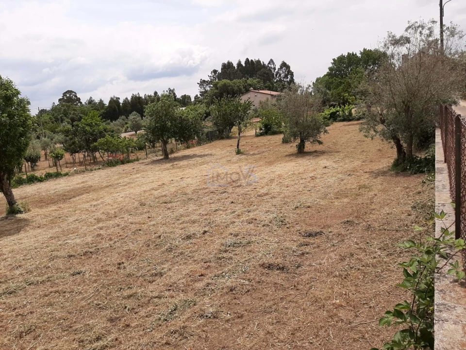 Terreno para Venda em Ferreira do Zezere Foto 12