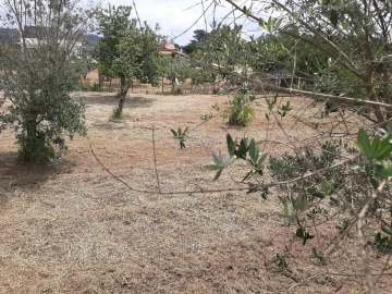Terreno para Venda em Ferreira do Zezere