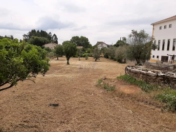 Terreno para Venda em Ferreira do Zezere