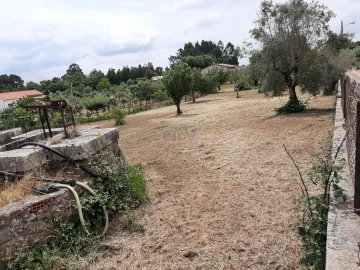 Terreno para Venda em Ferreira do Zezere