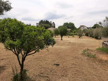 Terreno para Venda em Ferreira do Zezere